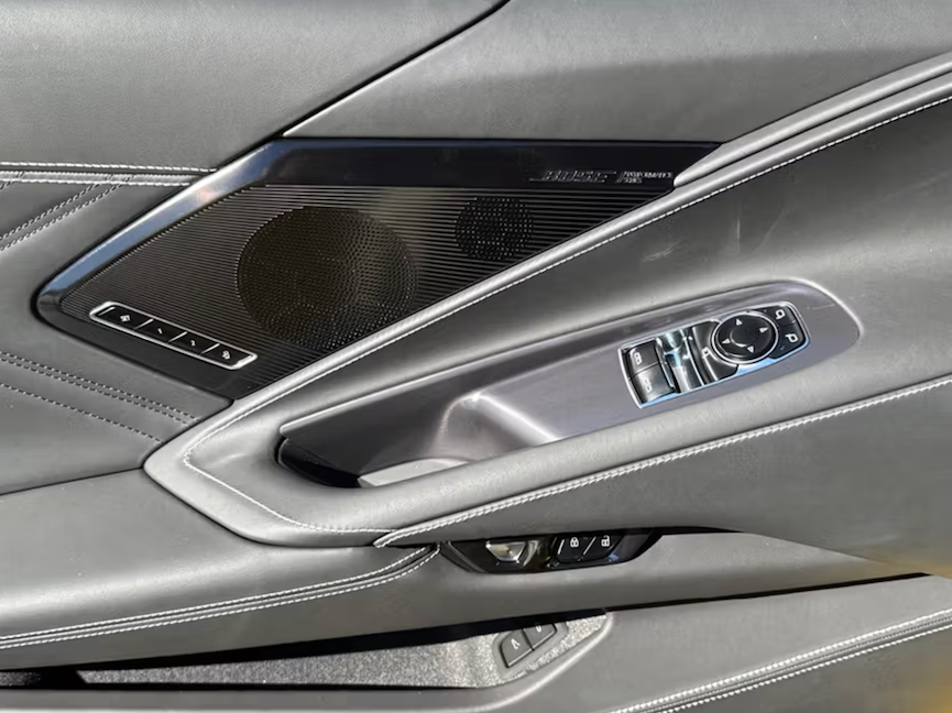 Car interior door panel with speaker and controls