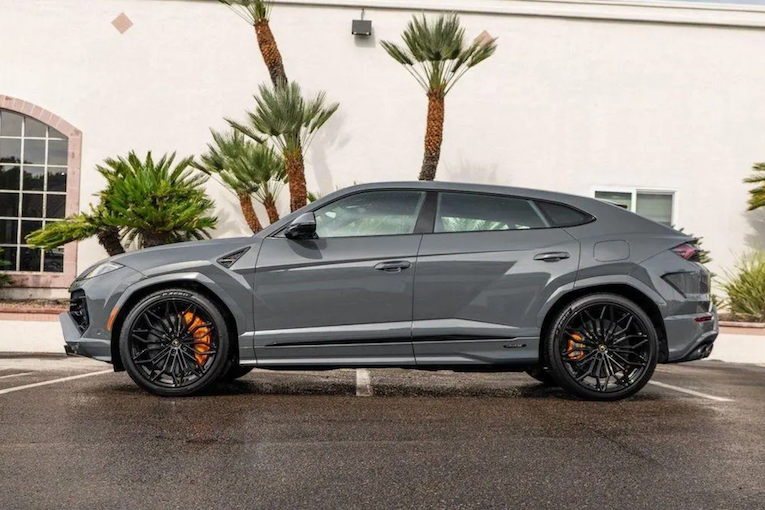 Gray SUV parked in a parking lot with palm trees in the background