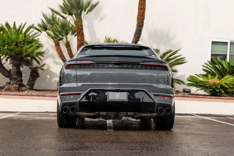 Back view of a black luxury car with palm trees in the background