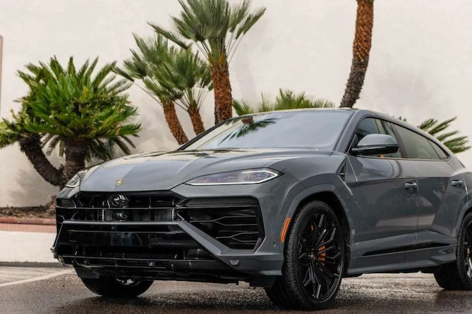 Gray luxury SUV parked on a street with palm trees in the background