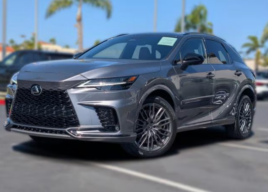 Gray Lexus SUV parked on a street with palm trees in the background