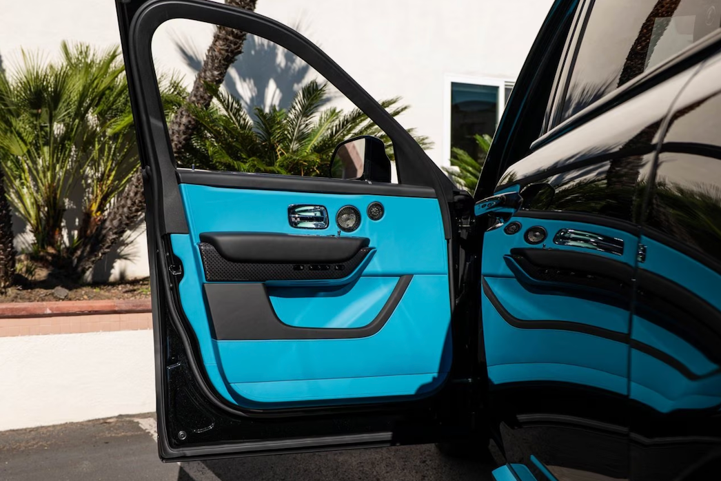Car door open showing blue interior with palm trees in the background